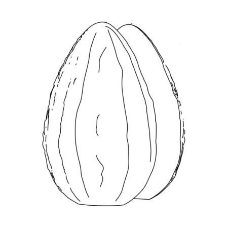 Forma din plastic, fruct de cacao pentru ciocolata, Ø140×205mm, 349 g
